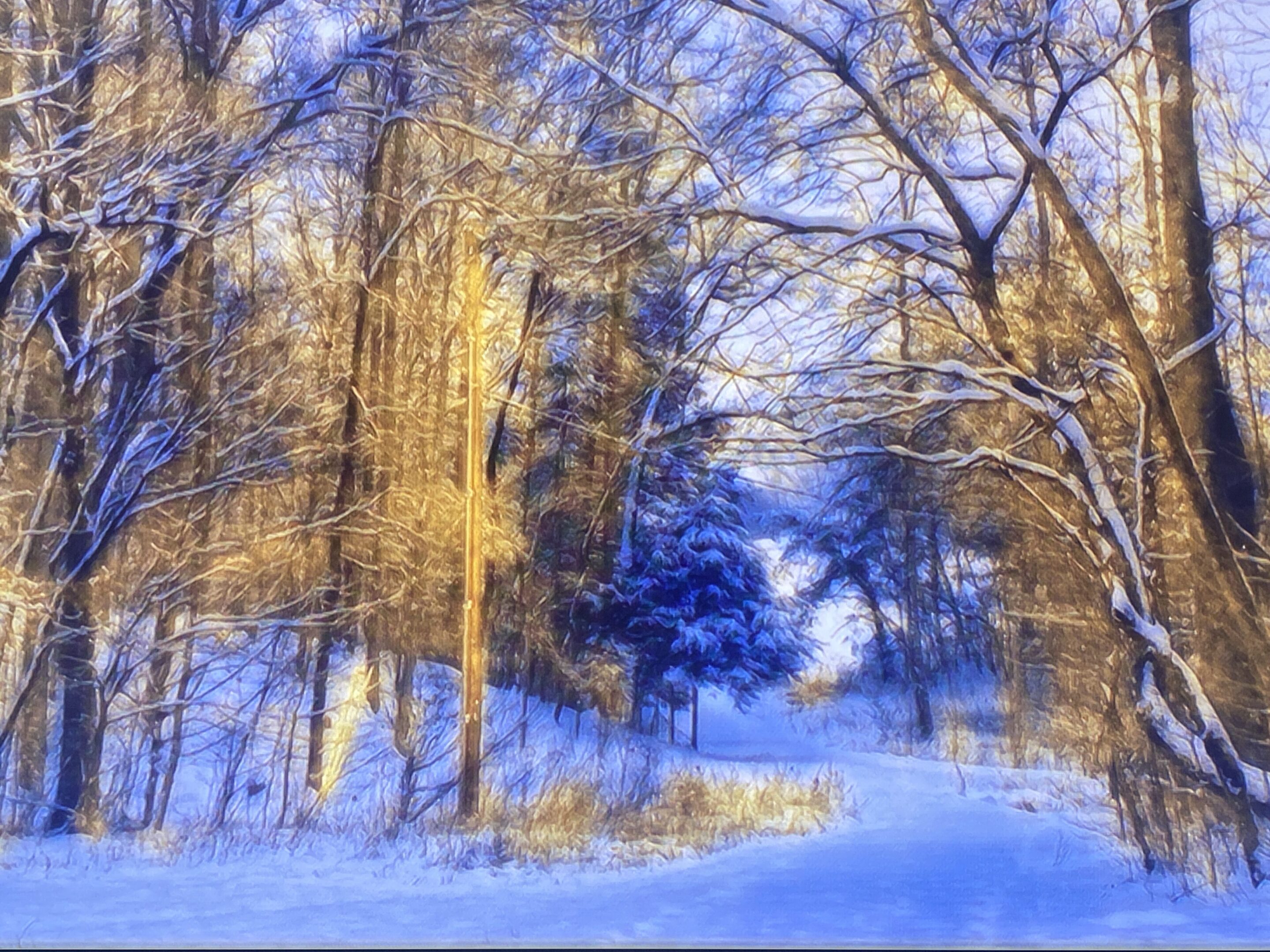 A painting of trees in the snow